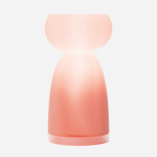 Sweet Dollight – Guava (LE)